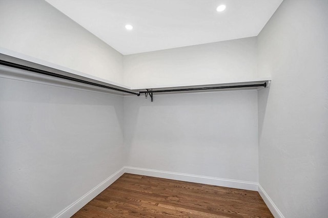spacious closet featuring dark wood-style flooring