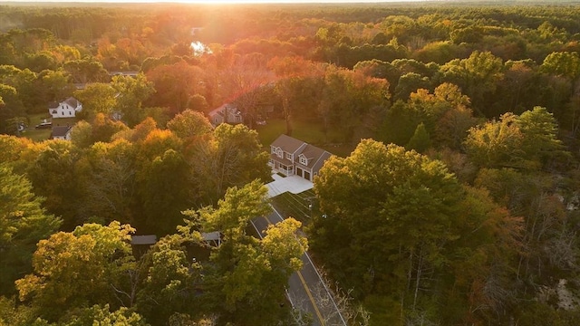 bird's eye view