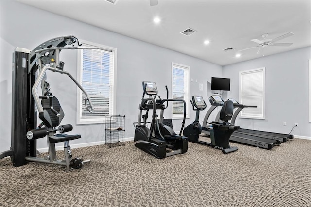 exercise area featuring ceiling fan and carpet