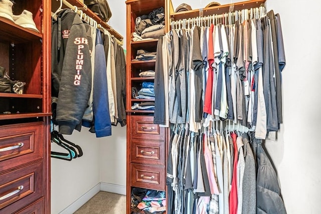 walk in closet with carpet flooring