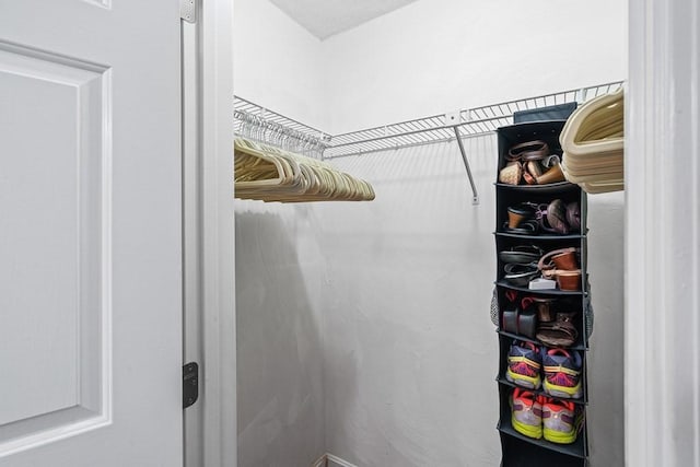 view of walk in closet