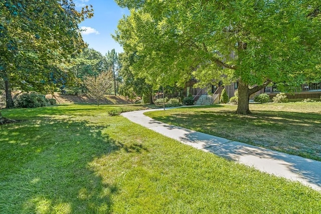 view of community featuring a yard