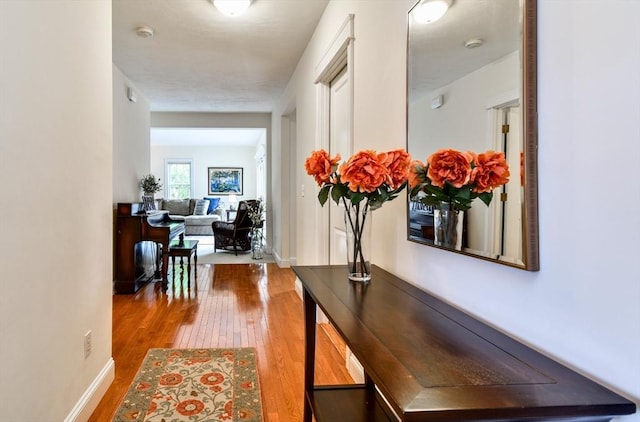 hallway with wood finished floors