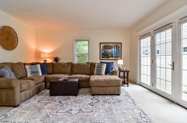living area with carpet flooring