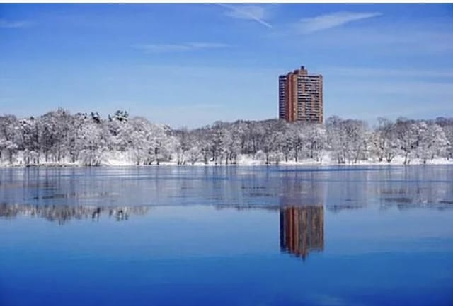 111 Perkins St Unit 108, Boston, MA 02130 - water view