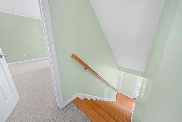 stairway with carpet and baseboards