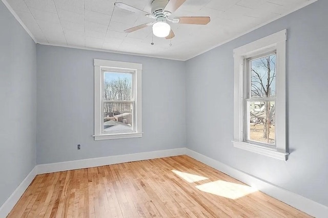 spare room with ceiling fan, light wood-type flooring, and crown molding