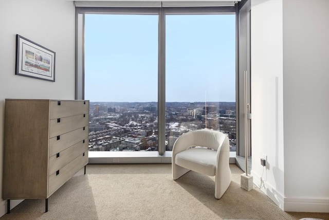 living area featuring expansive windows