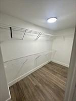 walk in closet with dark hardwood / wood-style flooring