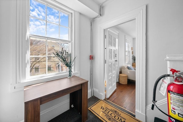 entryway with baseboards and wood finished floors
