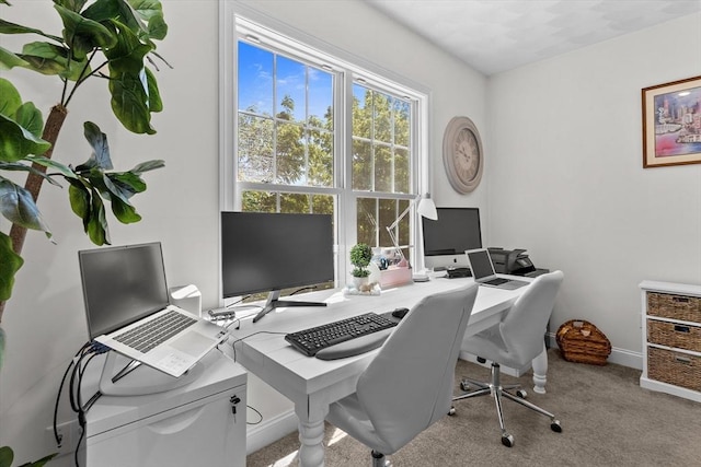 8 Mill River Ln, Rowley, MA 01969 - office area featuring carpet floors and baseboards