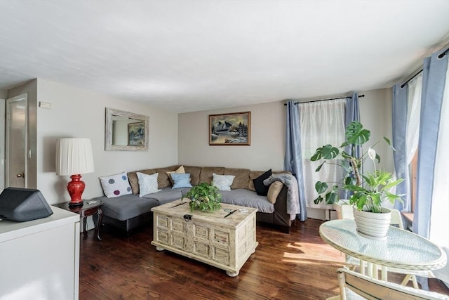 14 Bayside St, Springfield, MA 01109 - living area with dark wood-style flooring and plenty of natural light
