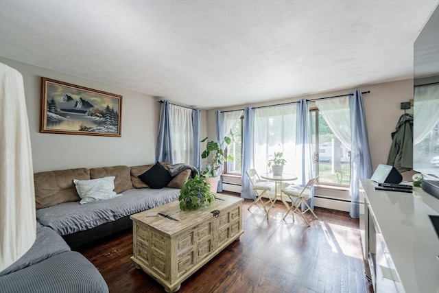 14 Bayside St, Springfield, MA 01109 - living room with dark wood-style floors