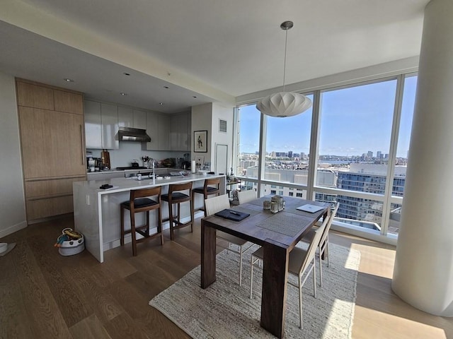 dining room featuring a wall of windows and dark hardwood / wood-style floors