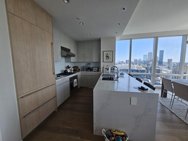 kitchen featuring a wall of windows, an island with sink, light brown cabinetry, sink, and dark hardwood / wood-style floors