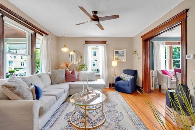 50 Oleander St, West Springfield, MA 01089 - living area featuring a ceiling fan, light wood-style floors, and a textured ceiling