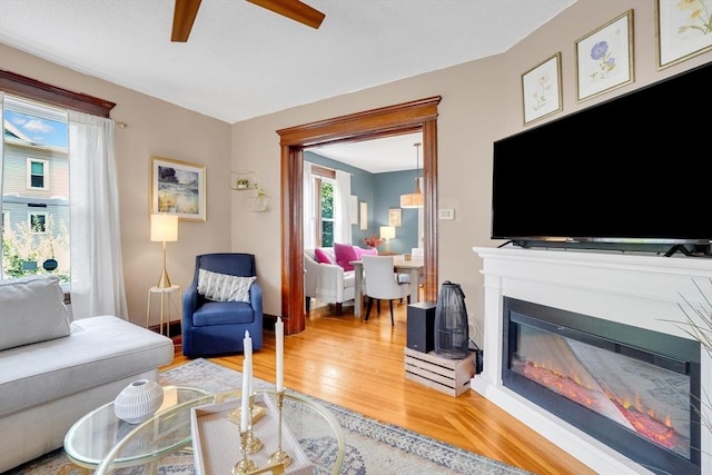 50 Oleander St, West Springfield, MA 01089 - living room with a ceiling fan, a glass covered fireplace, and wood finished floors