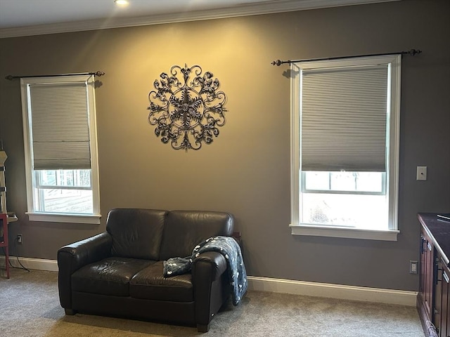 living area featuring baseboards, carpet floors, and crown molding