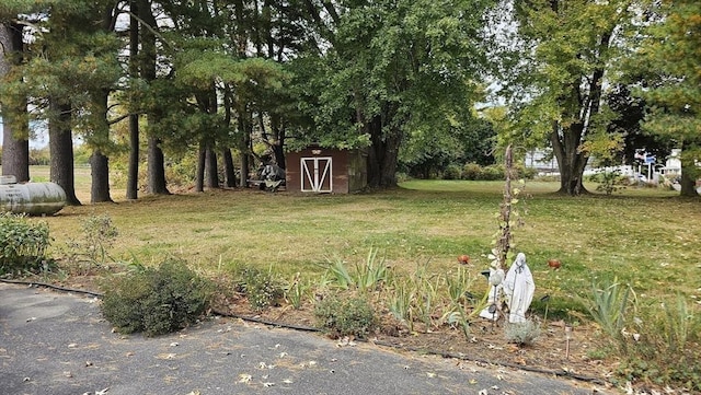 view of yard with a storage shed