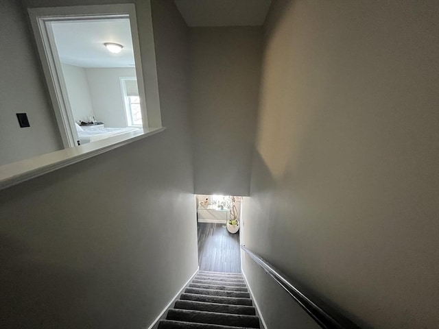 445 Cambridge St, Worcester, MA 01610 - stairway with carpet floors and baseboards