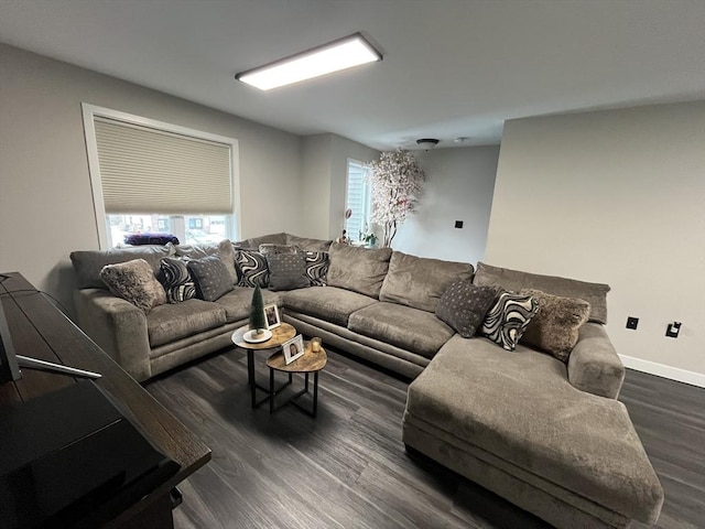 445 Cambridge St, Worcester, MA 01610 - living room featuring dark wood-style flooring and baseboards