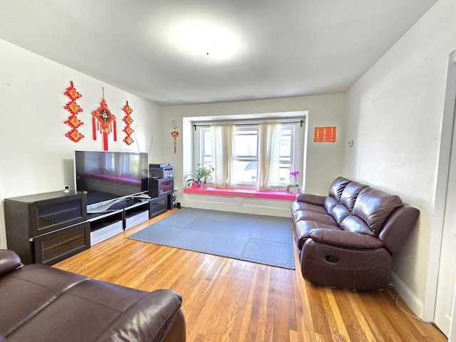 living area featuring wood finished floors