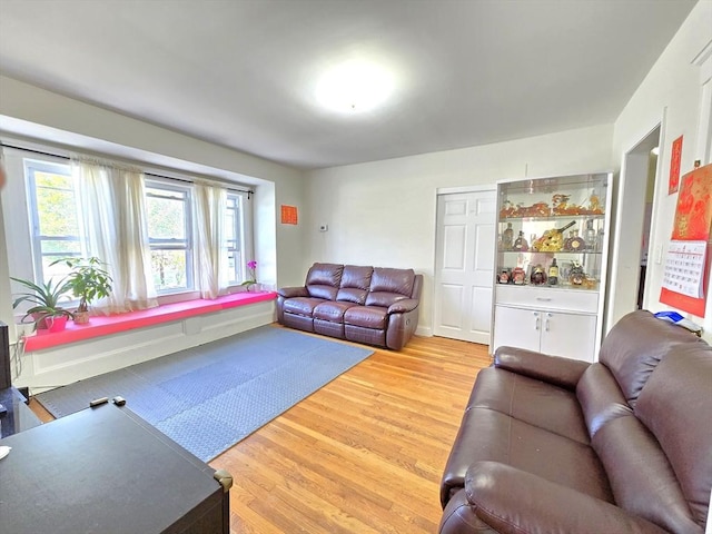 living room with light wood-style floors