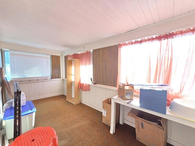 carpeted home office with wood walls and a healthy amount of sunlight