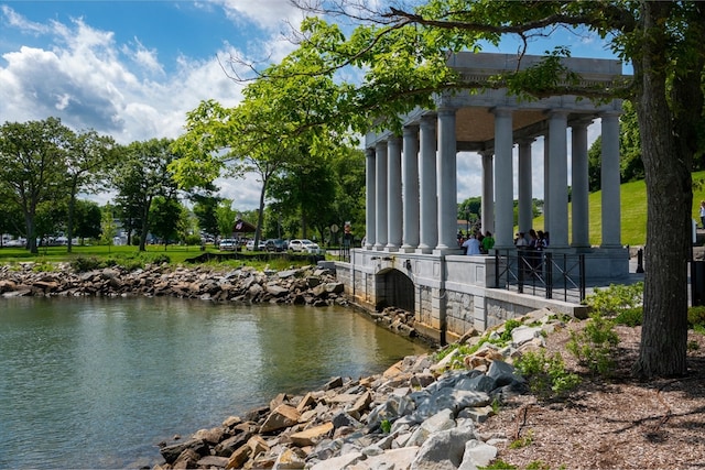 dock area with a water view