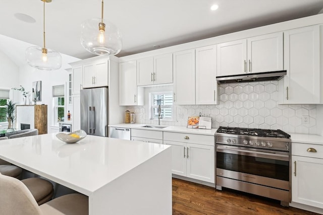 kitchen with stainless steel appliances, under cabinet range hood, a sink, a kitchen bar, and light countertops