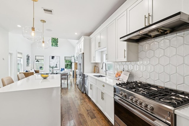 kitchen with high quality appliances, a sink, extractor fan, dark wood-style floors, and light countertops