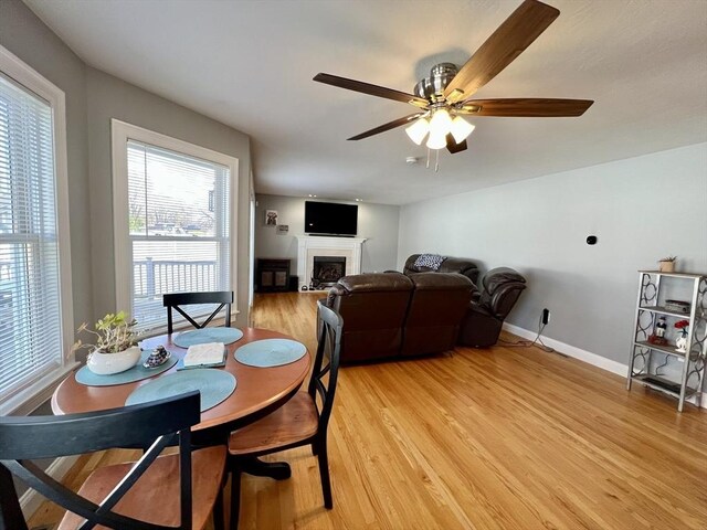 dining area featuring light wood-type flooring, baseboards, a fireplace, and ceiling fan