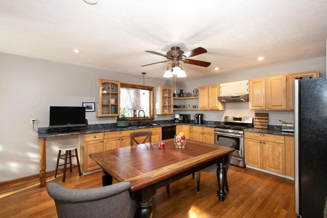 kitchen featuring a sink, dark countertops, stainless steel appliances, and under cabinet range hood