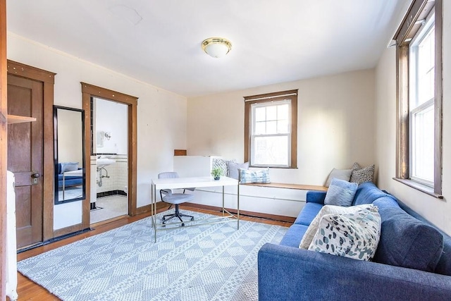 office featuring light hardwood / wood-style floors