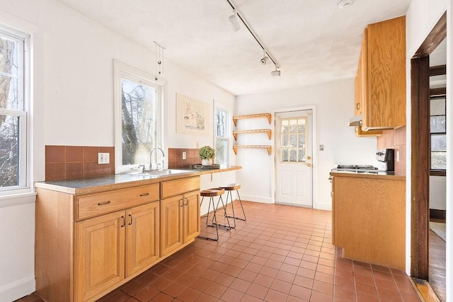 kitchen featuring a kitchen bar, sink, dark tile patterned flooring, and stove