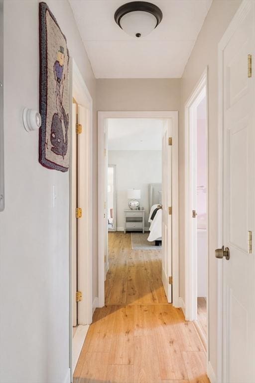 157 Franklin St Unit D3, Stoneham, MA 02180 - hall with light wood-type flooring and baseboards