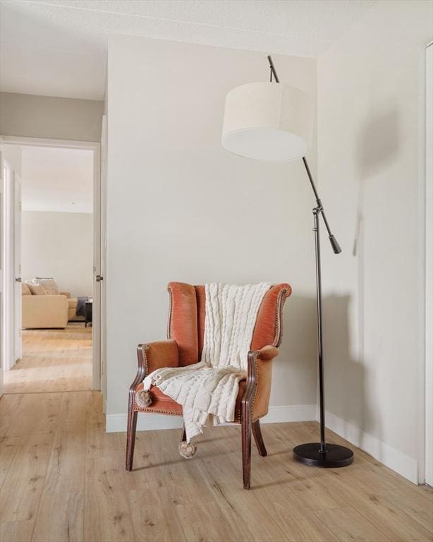 157 Franklin St Unit D3, Stoneham, MA 02180 - sitting room with light wood finished floors and baseboards