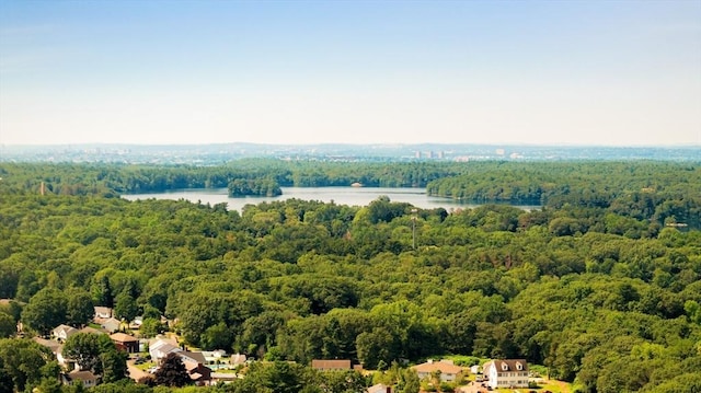 157 Franklin St Unit D3, Stoneham, MA 02180 - drone / aerial view of a heavily wooded area and a large body of water