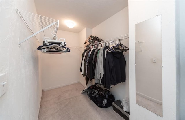1 Knotts St Unit 1, Hudson, MA 01749 - walk in closet featuring carpet floors