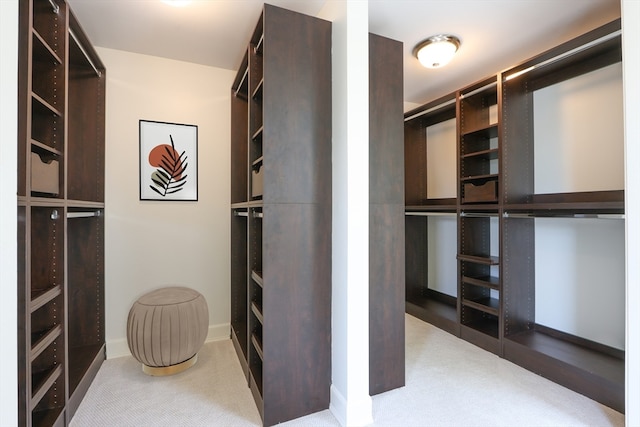 walk in closet featuring carpet