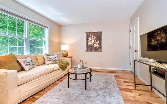 9 Knollwood Ct Unit 9, Burlington, MA 01803 - living room with light wood-type flooring and baseboards