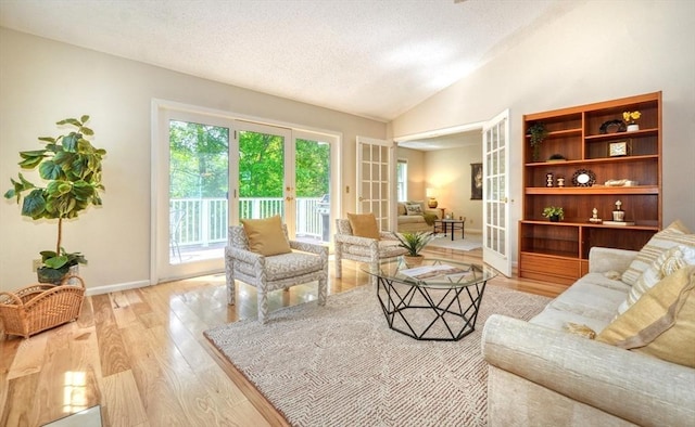9 Knollwood Ct Unit 9, Burlington, MA 01803 - living area with wood finished floors, a textured ceiling, french doors, vaulted ceiling, and baseboards