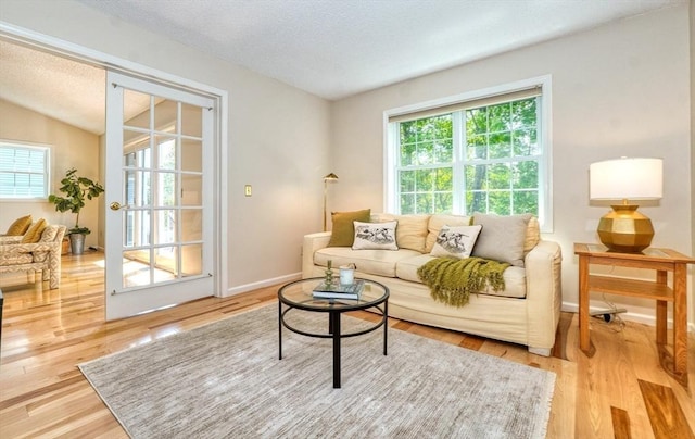 9 Knollwood Ct Unit 9, Burlington, MA 01803 - living area featuring wood finished floors, a textured ceiling, baseboards, and lofted ceiling