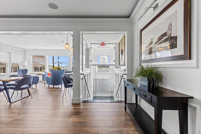 foyer entrance with dark wood finished floors