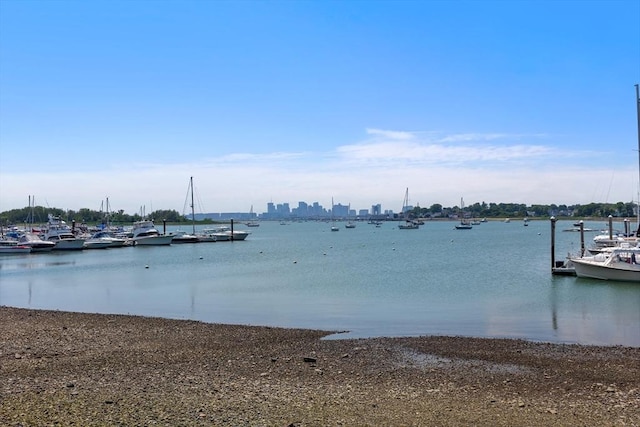 dock area with a water view