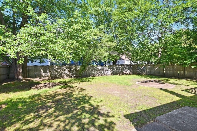 248 Pheland St, Springfield, MA 01109 - view of yard