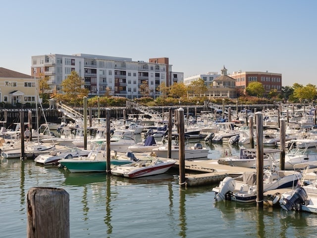 dock area with a water view