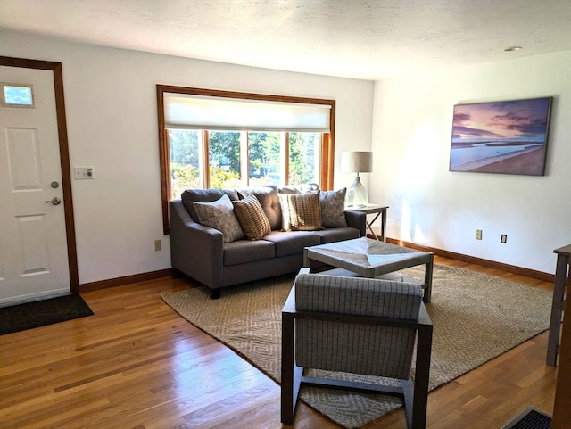 living room featuring wood-type flooring