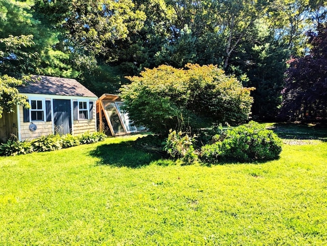 view of yard featuring a shed