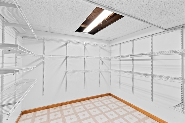 spacious closet with a drop ceiling